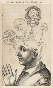 Intellect