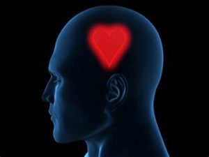 Red Heart in profile of man's brain
