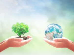 Nature, forest and earth offering each other grace. hands holding earth and tree
